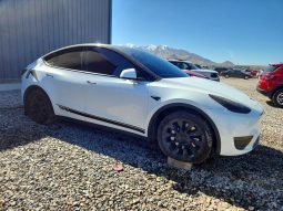 TESLA MODEL Y LR DM, 2023
