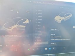 
TESLA MODEL Y LR DM, 2023 full									