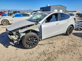 TESLA MODEL Y LR DM, 2020