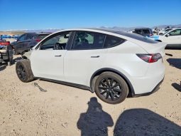 
TESLA MODEL Y LR DM, 2020 full									