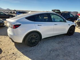 TESLA MODEL Y LR DM, 2020