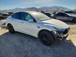 TESLA MODEL Y LR DM, 2020