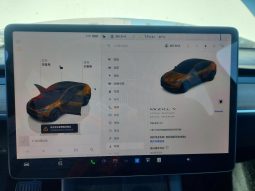 
TESLA MODEL Y LR DM, 2023 full									