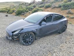 
TESLA MODEL Y LR DM, 2022 full									