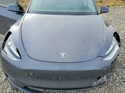 
TESLA MODEL Y LR DM, 2022 full									