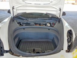
TESLA MODEL 3 LR DM, 2022 (2021) full									