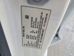 
TESLA MODEL 3 LR DM, 2022 (2021) full									