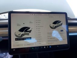 
TESLA MODEL 3 LR DM, 2022 (2021) full									