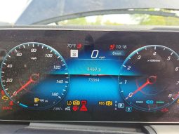 
MERCEDES-BENZ GLS 580 4MATIC, 2020 full									