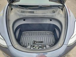 
TESLA MODEL 3 LR DM, 2022 full									