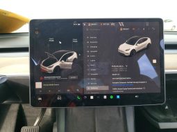 
TESLA MODEL Y LR DM, 2022 full									