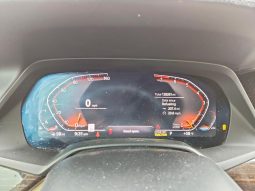 
BMW X5 XDRIVE40I, 2019 full									