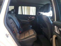 
MERCEDES-BENZ GLS 63 AMG 4MATIC, 2021 (2020) full									
