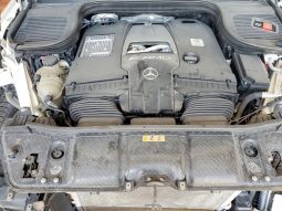
MERCEDES-BENZ GLS 63 AMG 4MATIC, 2021 (2020) full									