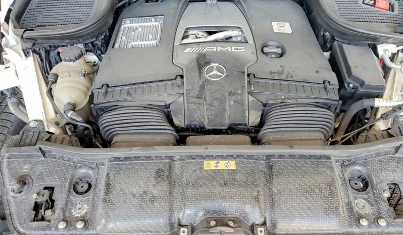 
MERCEDES-BENZ GLS 63 AMG 4MATIC, 2021 (2020) full									