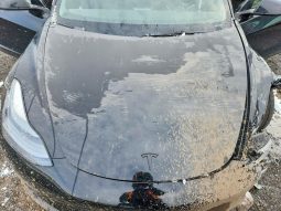
TESLA MODEL 3 LR DM, 2022 full									