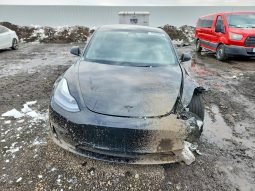 
TESLA MODEL 3 LR DM, 2022 full									
