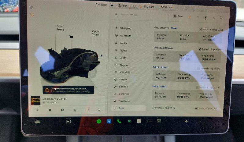 
TESLA MODEL 3 LR DM, 2022 full									