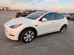 TESLA MODEL Y LR DM, 2021 (2020)