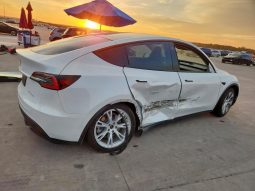 TESLA MODEL Y LR DM, 2021 (2020)