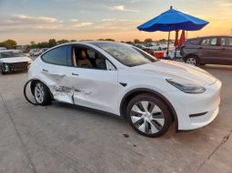 TESLA MODEL Y LR DM, 2021 (2020)