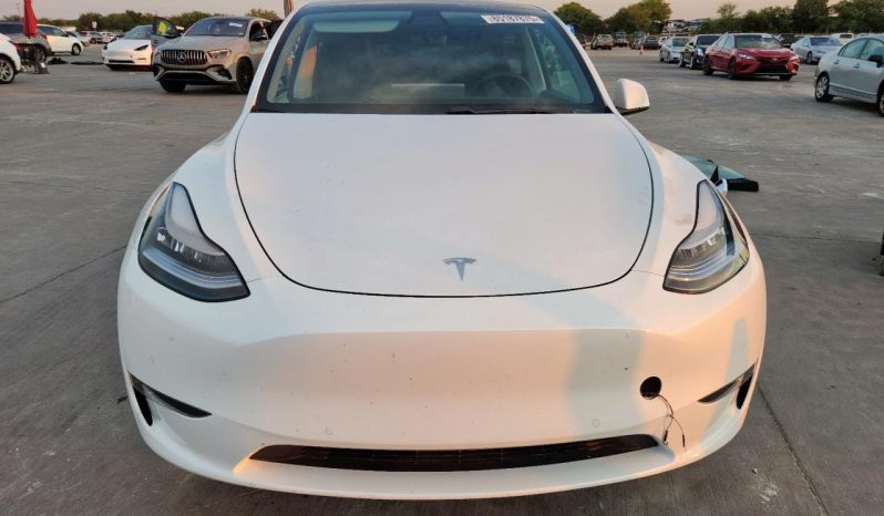 
TESLA MODEL Y LR DM, 2021 (2020) full									