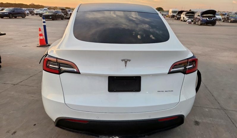 
TESLA MODEL Y LR DM, 2021 (2020) full									