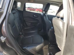 
JEEP COMPASS LIMITED, 2019 (2018) full									