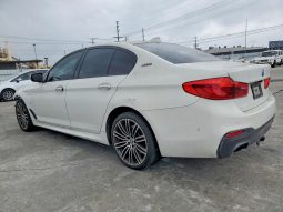 BMW 530E, 2018