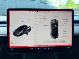 
TESLA MODEL 3 LR DM, 2022(2021) full									