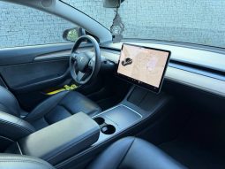 
TESLA MODEL 3 LR DM, 2022(2021) full									