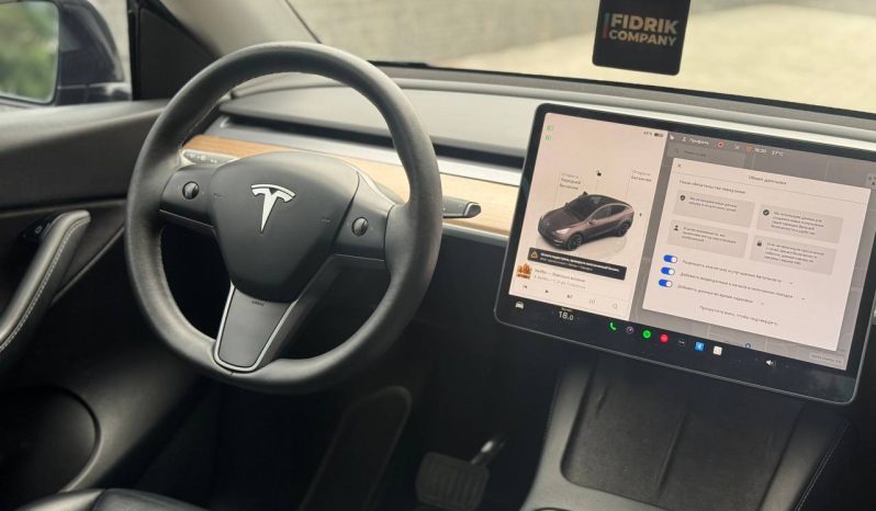 
TESLA MODEL Y LR DM, 2022 full									