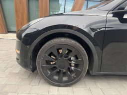 
TESLA MODEL Y LR DM, 2022 full									