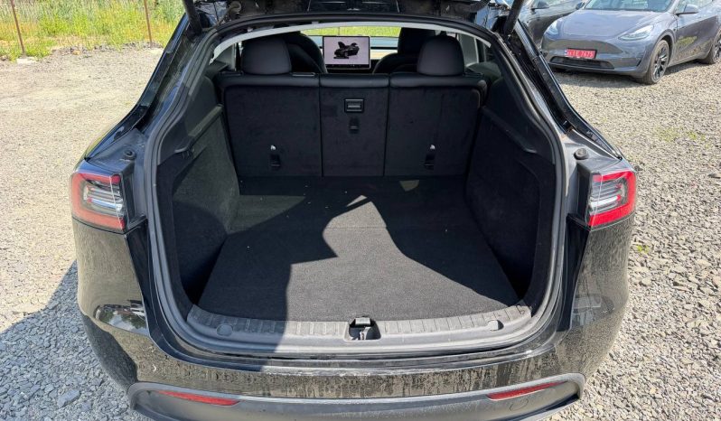 
TESLA MODEL Y LR DM, 2023 full									