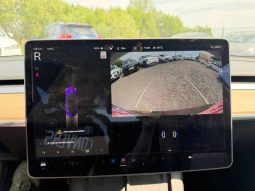 
TESLA MODEL 3 LR DM, 2021 full									