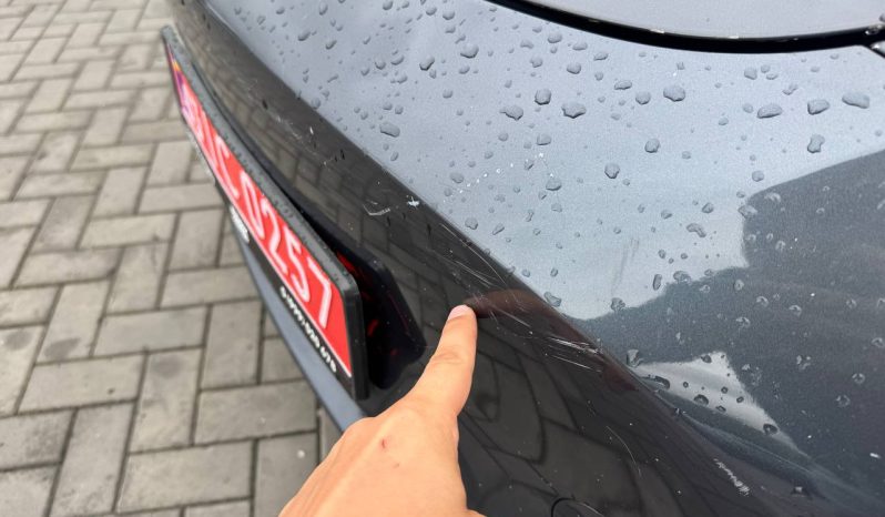 
TESLA MODEL Y LR DM, 2021 (2020) full									