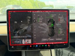 
TESLA MODEL 3 LR DM, 2022 full									