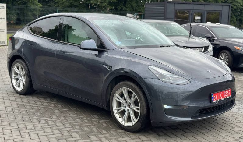 
TESLA MODEL Y LR DM, 2021 (2020) full									