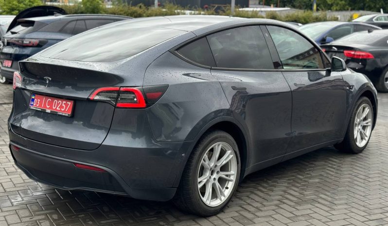 
TESLA MODEL Y LR DM, 2021 (2020) full									