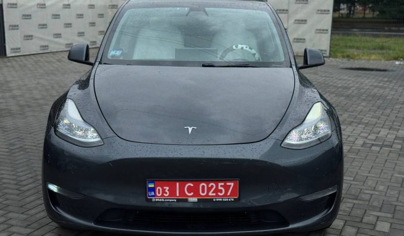 
TESLA MODEL Y LR DM, 2021 (2020) full									