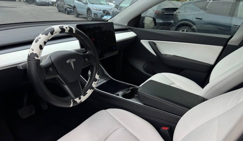 
TESLA MODEL Y LR DM, 2021 (2020) full									