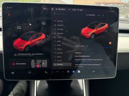 
TESLA MODEL Y LR DM, 2021 (2020) full									