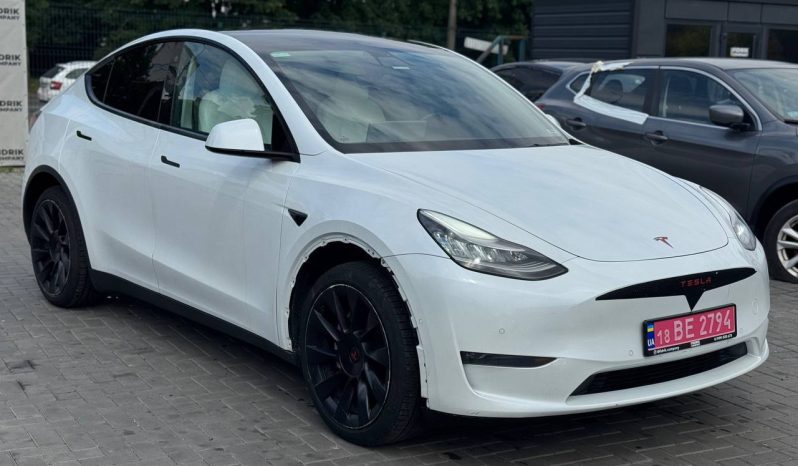 
TESLA MODEL Y LR DM, 2021 (2020) full									