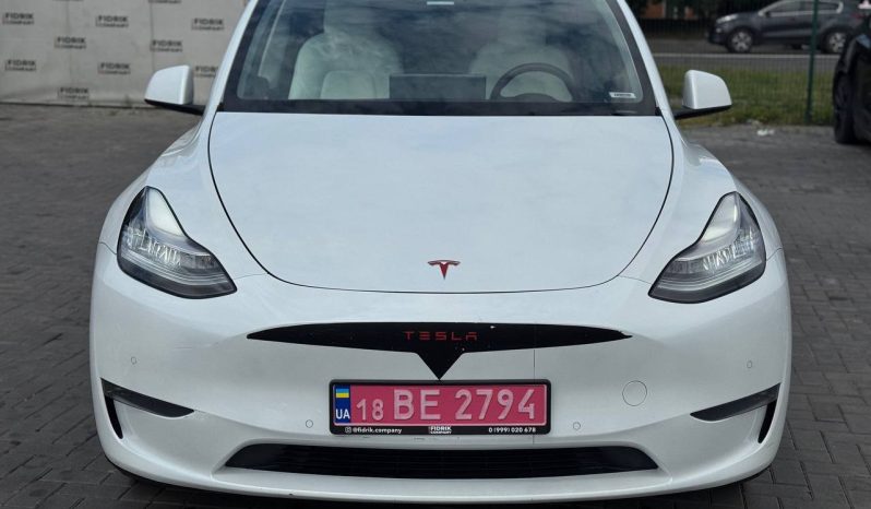 
TESLA MODEL Y LR DM, 2021 (2020) full									