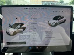 
TESLA MODEL Y LR DM, 2021 (2020) full									