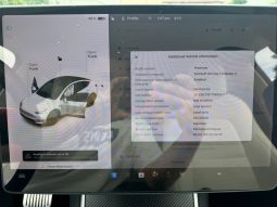 
TESLA MODEL Y LR DM, 2021 (2020) full									