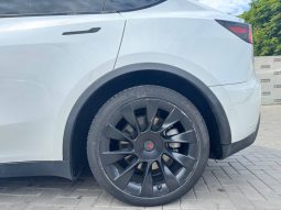 
TESLA MODEL Y LR DM, 2021 (2020) full									