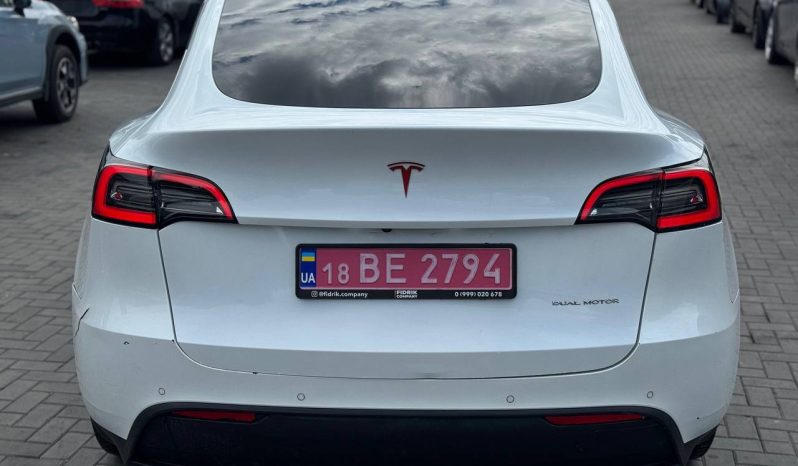
TESLA MODEL Y LR DM, 2021 (2020) full									