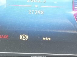 
MERCEDES-BENZ GLS 450 4MATIC, 2024 full									