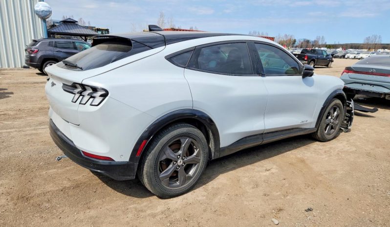 
FORD MUSTANG MACH-E PREMIUM, 2021 (2020) full									
